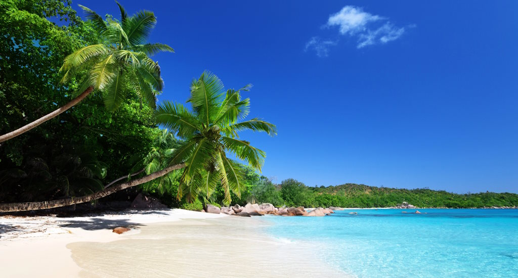 Traumstrand mit Palmen und hellblauem Meer
